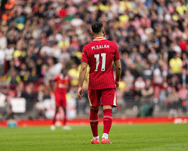 养他的能力 养他的能力