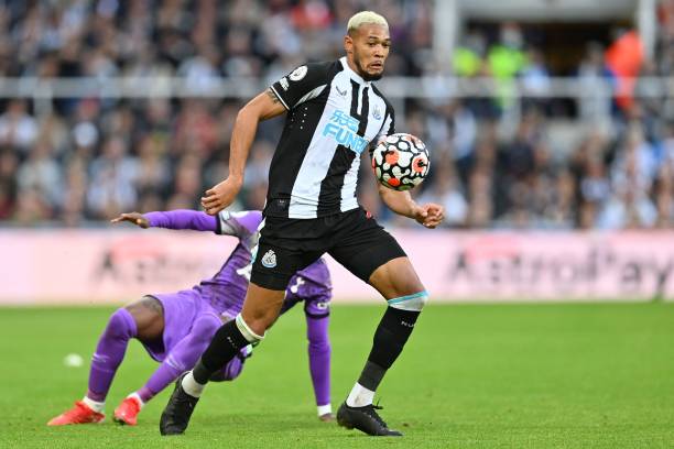 年輕內線楊 年輕內線楊